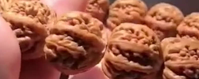 如何盘玩柏香籽？