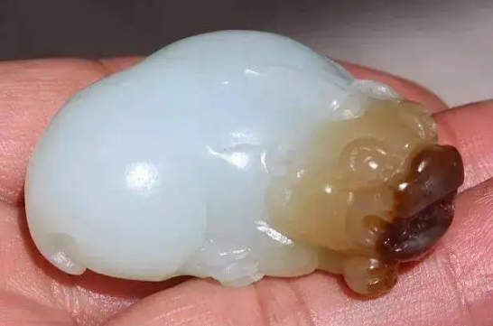 为什么龟甲越来越有光泽？