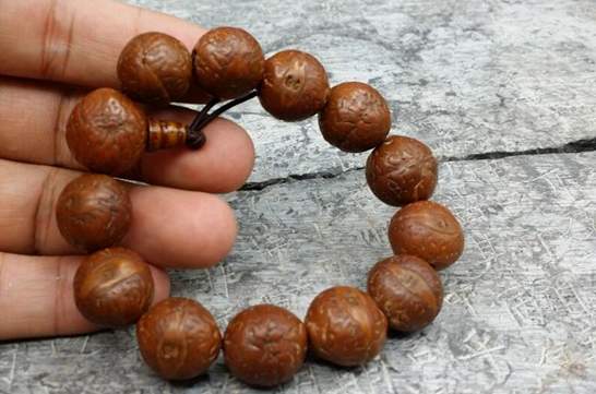 四大菩提子排名，菩提子常见品种
