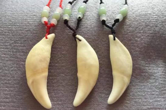 佩戴狼牙的好处和禁忌