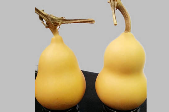 如何抛光葫芦