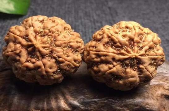 小金刚菩提脏了怎么办？