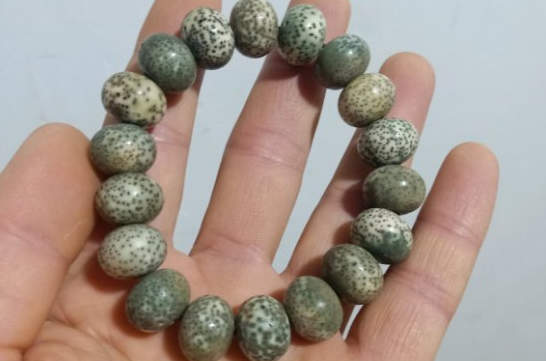 渐变菩提根是染色的吗？
